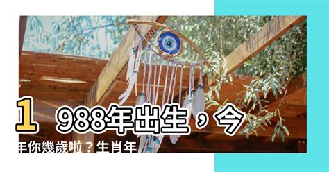 1988幾歲|1988是民國幾年？1988是什麼生肖？1988幾歲？